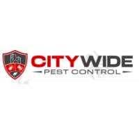 City Wide Rodent Control Sydney image 1